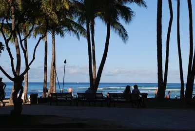 June 2007 - Hawaii